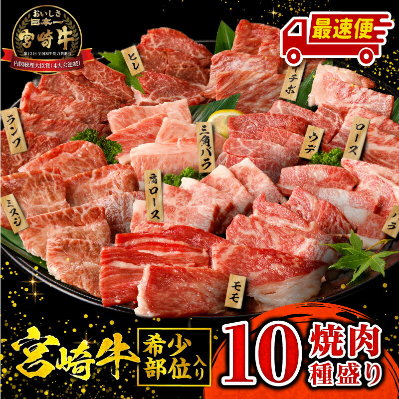 【ふるさと納税】高評価★4.65《発送時期が選べる》宮崎牛焼肉10種盛り合わせ 宮崎牛 焼肉 10種 盛り合わせ 食べ比べ セット 焼肉セット 詰め合わせ アウトドア キャンプ 網焼き 贈答用 贈り物 贈答 ギフト 牛肉 肉 国産 国産牛 人気 おすすめ 精肉 《レビューキャンペーン》