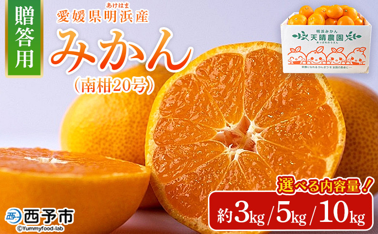 
            ＜みかん（南柑20号）贈答用 約3／5／10kg＞ 果物 くだもの フルーツ ミカン 柑橘 なんかん20ごう ナンカン20ゴウ 温州みかん うんしゅうみかん 贈答 ギフト プレゼント 特産品 株式会社笑丸 愛媛県 西予市【常温】
          