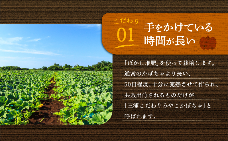 神奈川県三浦市産 三浦こだわりかぼちゃ（3個）　M109-005
