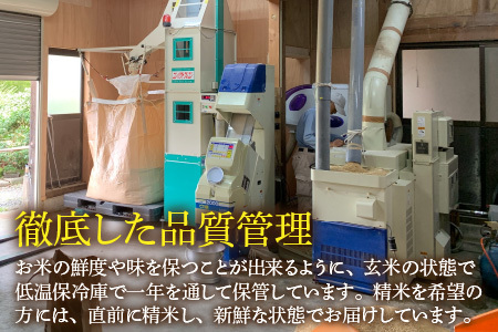 【先行予約】【令和6年産】《定期便6回》コシヒカリ 玄米 5kg （計30kg）特別栽培米 化学肥料不使用  ＜温度と湿度を常時管理し新鮮米を出荷！＞ / 伊与衛門農園の特別栽培米 高品質 鮮度抜群 