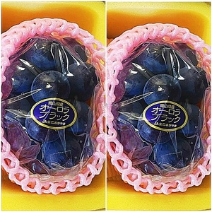 岡山県産 オーロラブラック 2房(1房480g以上) 化粧箱入り