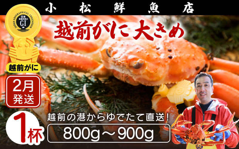 
            ≪浜茹で≫越前ずわい蟹 大きめサイズ× 1杯（800～900g）地元で喜ばれるゆで加減・塩加減で越前の港から直送！【雄 ズワイガニ ずわいがに 姿 ボイル 冷蔵 福井県】【2月発送分】希望日指定可 備考欄に希望日をご記入ください [e23-x008_02]
          