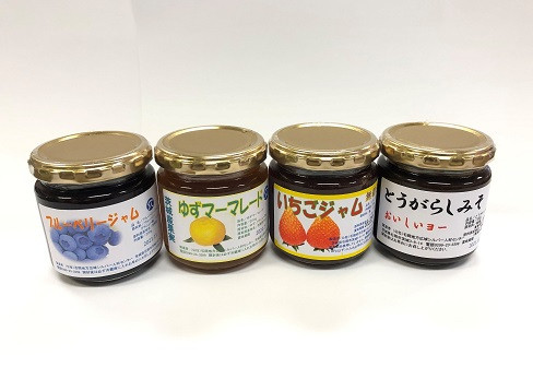 
            ゆずマーマレード ブルーベリージャム イチゴジャム とうがらしみそ 4点セット 手作り ジャム 甘辛味噌 ごはんのお供 パン トースト ヨーグルト おにぎり 料理 アレンジ 贈答 ギフト 茨城県 石岡市 (G04-001)
          