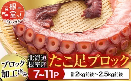 C-70076 【北海道根室産】たこ足ブロック7～11P(計2kg前後～2.5kg前後)