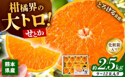 【2026年2月下旬から発送】 みかん ミカン せとか 約2.5kg 果物 フルーツ 秀品 贈答用 化粧箱 ギフト 贈答 蜜柑 柑橘 かんきつ くだもの 旬 甘い 品種 3kg 5kg 10kg より少ない 2kg 以上 2.5㎏【小春農園】 [ZBN002]