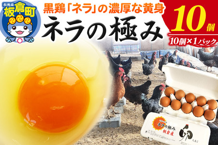 ネラの極み 卵 たまご 10個（10個×1パック）