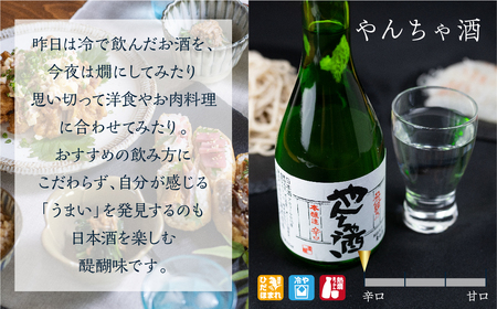 白真弓 厳選 5種飲み比べ 純米吟醸 特別純米 吟醸 やんちゃ酒 栄冠 [Q1568xc]