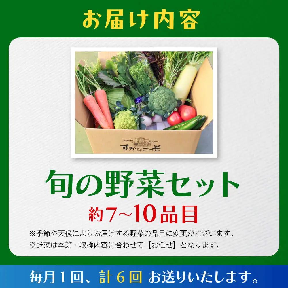 【全6回定期便】よこすか野菜セット すかなボックス／野菜 旬 セット  【JAよこすか葉山】[ASCB003]