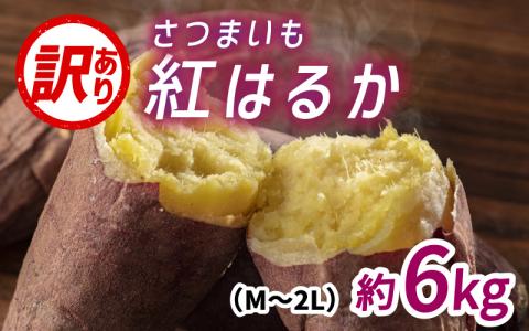 サツマイモ（紅はるか）サイズ不揃いの訳あり（M～2L）約6kg