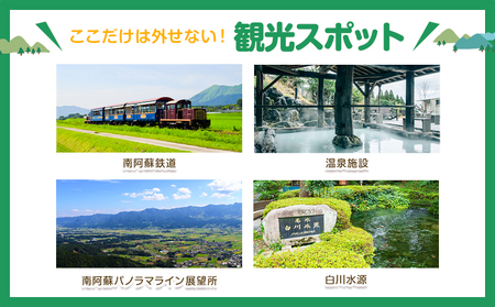 熊本県 南阿蘇村 日本旅行 地域限定旅行クーポン 15,000円《寄付翌月末を目途に付与いたします》
