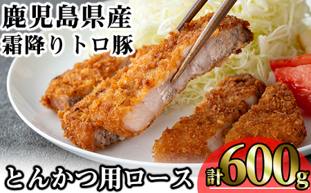 鹿児島県産霜降りトロ豚 とんかつ用ロース (計600g・200g×3枚) 鹿児島県産 豚肉 霜降り 【KNOT】 A570