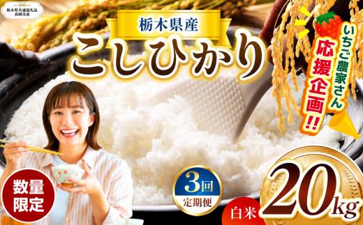 【定期3回】数量 限定 訳あり 定期便 令和8年度 栃木県産 コシヒカリ 約 20kg | 数量限定 こしひかり 精米 白米 米 ごはん おいしい okome kome お米 コシヒカリ ふるさと納税 那珂川町 栃木県【栃木県共通返礼品】