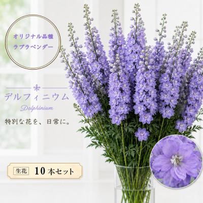 ふるさと納税 長和町 デルフィニウム 生花10本　花色:ラブラベンダー　〜特別な花をインテリアに〜