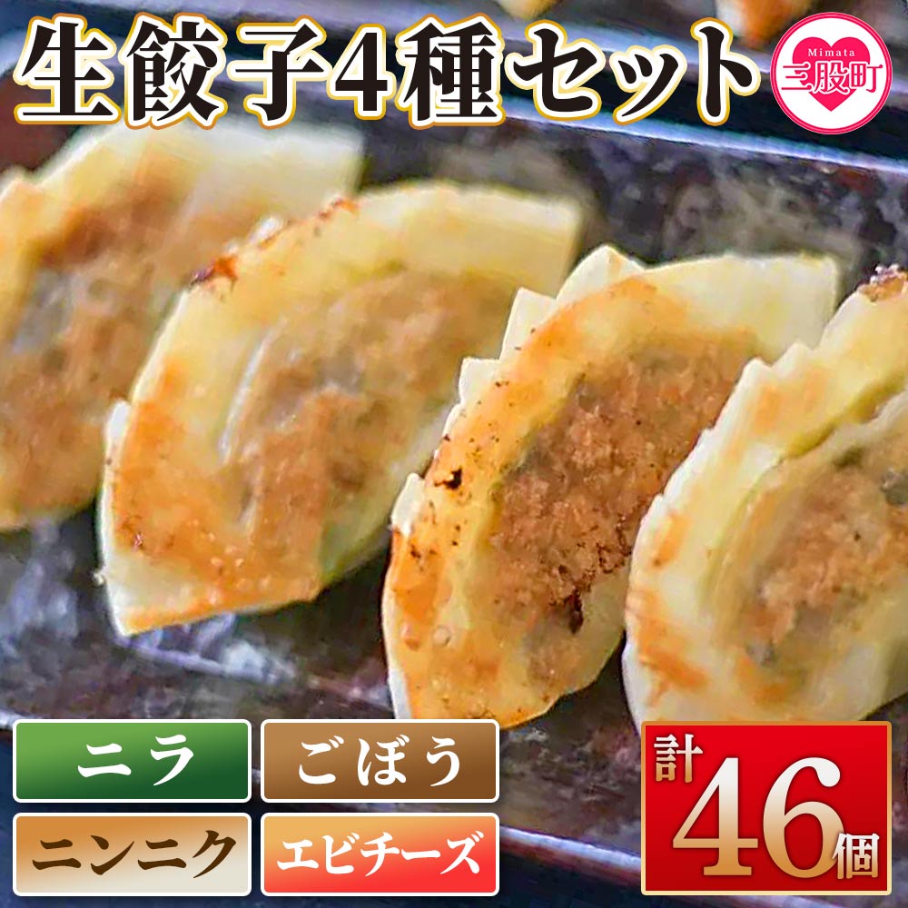 【数量限定！】＜福栄生餃子店餃子4種(ニラ・ごぼう・ニンニク・エビチーズ)セット＞【MI286-fu】【福栄生餃子店】