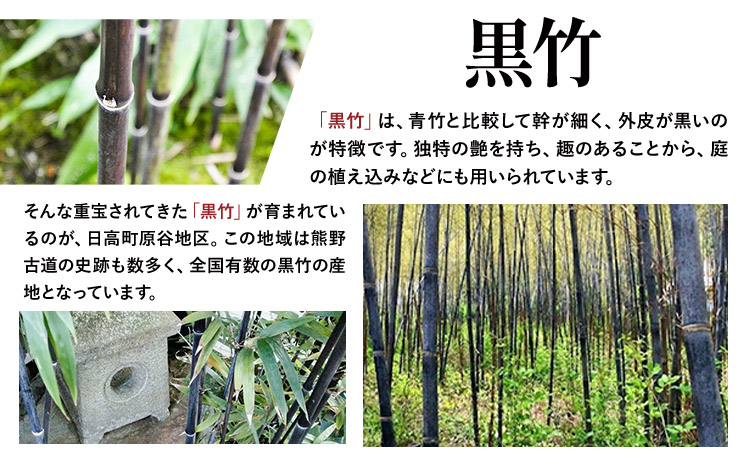 黒竹ボールペン（ベーシック）箱付き(有)金﨑竹材店《90日以内に出荷予定(土日祝除く)》ボールペンペン竹黒竹箱付き---wsh_kanaboll_90d_22_15000_b---