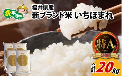 令和6年度産 福井県産新ブランド米 いちほまれ 20kg（5kg×4袋） [D-002030]