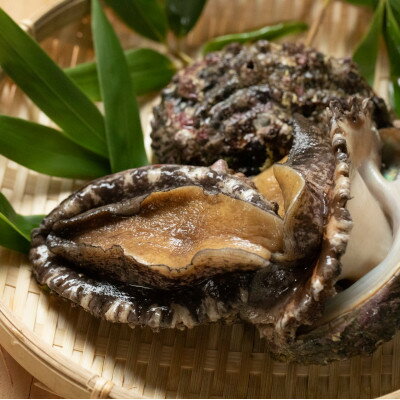 【ふるさと納税】【南三陸町直送】三陸産天然活アワビ6〜7個(約800g)　貝むきセット入【配送不可地域：離島・北海道・沖縄県・信越、北陸・東海・近畿・中国・四国・九州】【1371845】