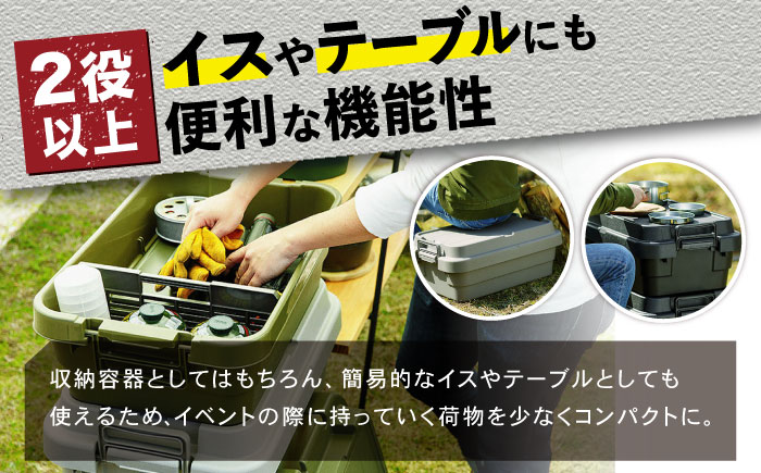 トランクカーゴ グリーン ロータイプM 1個 キャンプ ボックス 収納 アウトドア / 恵那市 / 東谷株式会社　明智流通センター [AUAD034]