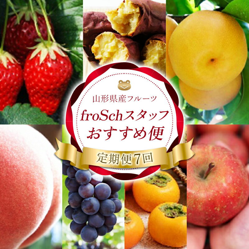 【ふるさと納税】 【定期便7回】 froSchスタッフ おすすめ便 FSY-2736