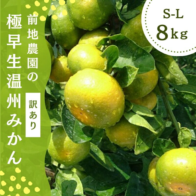 【ふるさと納税】 ご家庭用 訳あり 前地農園の 極早生温州みかん 8kg S-Lサイズおまかせ マルチ栽培 【2025年9月中旬から10月中旬までに順次発送】 わけあり ワケアリ 家庭用 みかん ミカン 蜜柑 フルーツ 果物 くだもの 極早生 温州 数量限定 産地直送 送料無料