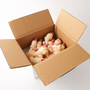 新生姜３kg（季節限定・農家直送）甘酢漬け ガリ 佃煮 ジンジャーエール ショウガ【R00366】