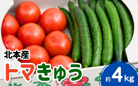 トマト きゅうりセット 合計約4kg | ﾄﾏﾄ きゅうり ﾄﾏﾄ きゅうり ﾄﾏﾄ きゅうり ﾄﾏﾄ きゅうり ﾄﾏﾄ きゅうり 桜国屋 埼玉県 北本市