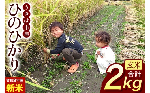 【ふるさと納税】令和8年度産 新米 玄米 ひのひかり 2kg 自然栽培 農薬不使用 米 お米 国産 ご飯 ごはん こめ コメ ヒノヒカリ 健康 食物繊維 腸活 ヘルシー 自然食品 ヴィーガン 家庭用 送料無料 福岡 お取り寄せ うきは市 人気 返礼品 ぶんぶんファーム