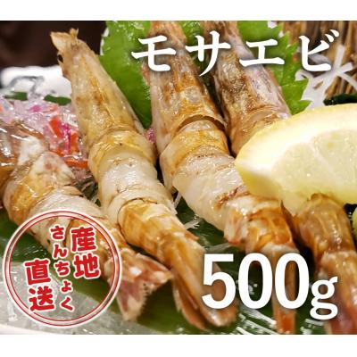 ふるさと納税 鳥取市 &lt;お手軽パック&gt;幻の海老!猛者エビ(モサエビ) 500g(さんチョク)