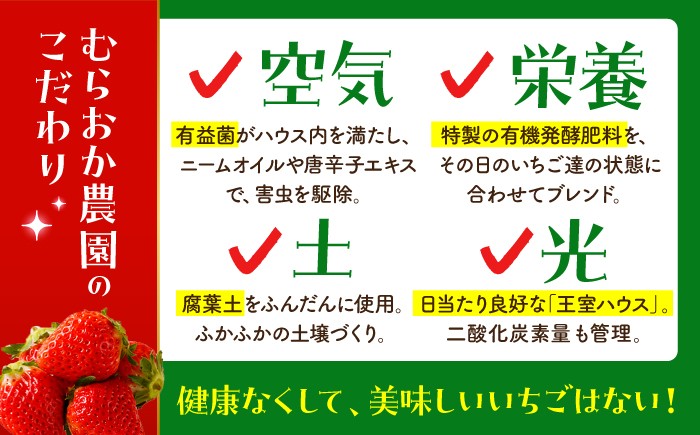いちごさん・さがほのか 500g ( 約250g×2パック )  [HAF032] いちご 苺 イチゴ 果物 くだもの フルーツ