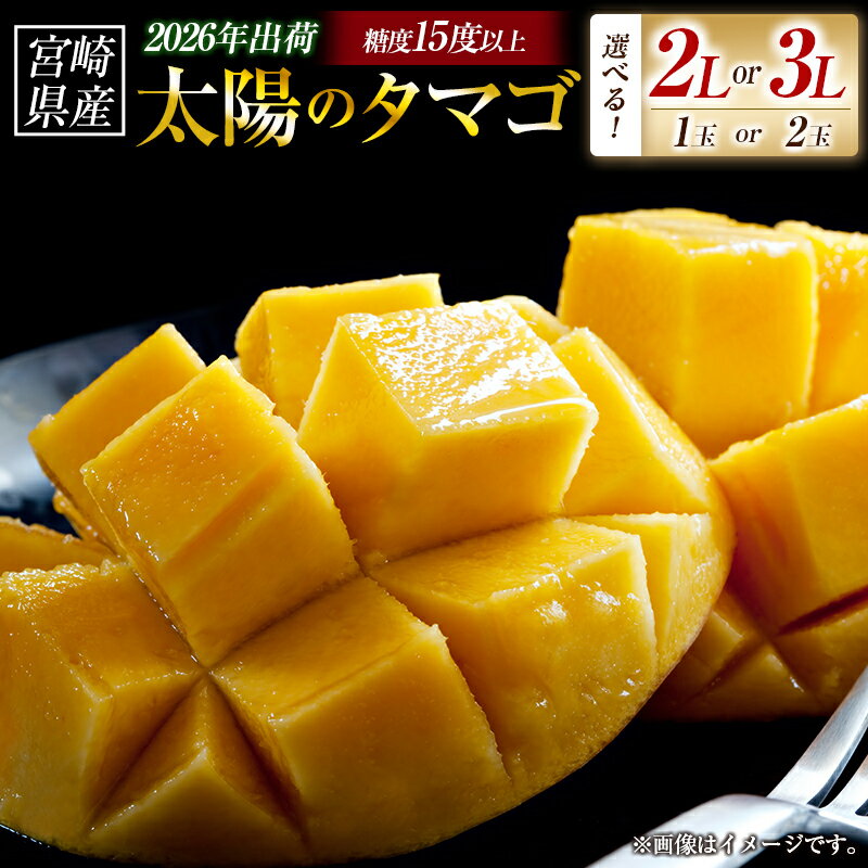 【ふるさと納税】【2026年発送 先行予約】【選べる内容量】完熟マンゴー「太陽のタマゴ」（フルーツ マンゴー 完熟マンゴー アップルマンゴー 果物 くだもの 先行受付 2026 令和8年 宮崎）