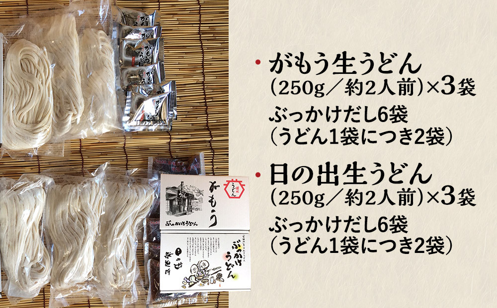 ※RN※【坂出のうどん】がもうと日の出のぶっかけうどんセット 約2人前×3袋入×2種