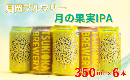 地ビール 月岡ブルワリー 月の果実 IPA 350ml 6本 クラフトビール 地ビール 地ビール 地ビール shinbo013
