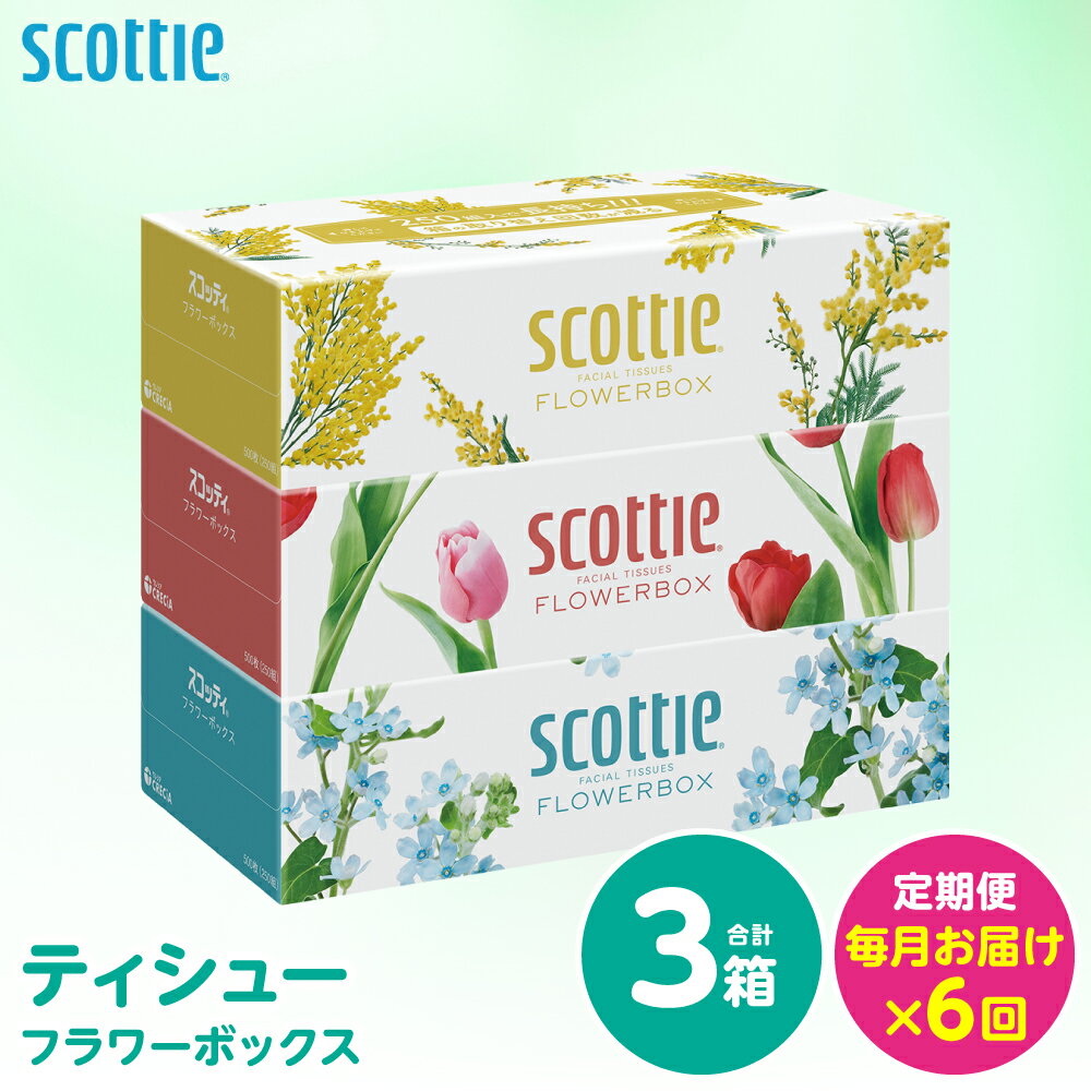 【ふるさと納税】【定期便6回】【毎月お届け】【スコッティ】 ティシュー フラワーボックス 250組 3箱 計18箱 ティッシュ 日用品 生活必需品 消耗品 紙 備蓄 防災備蓄 ストック 新生活 防災 生活用品 日用消耗品 箱ティッシュ 熊本県 八代市 送料無料