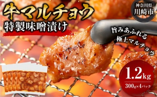 ＜訳アリ＞牛マルチョウ　特製味噌漬け　1.2kg(300g×4）【2026年10月発送】