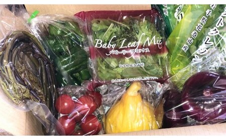 【3ヶ月定期便】旬野菜セット5～7種「賢治の豊作」 【818】