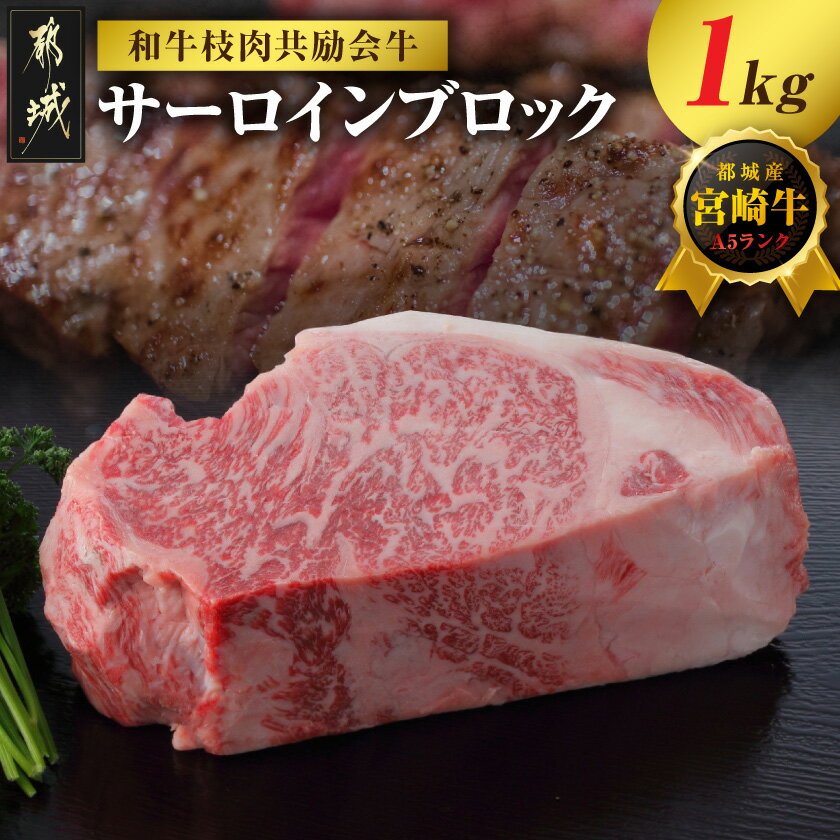 【ふるさと納税】【和牛枝肉共励会牛】(A5)宮崎牛サーロインブロック1kg - サーロインブロック 都城産 宮崎牛 肉のながやま 牛肉 ステーキ ブランド牛 サーロインステーキ A5ランク ブランド牛 送料無料 AI-25-005 【宮崎県都城市は2年連続ふるさと納税日本一！】
