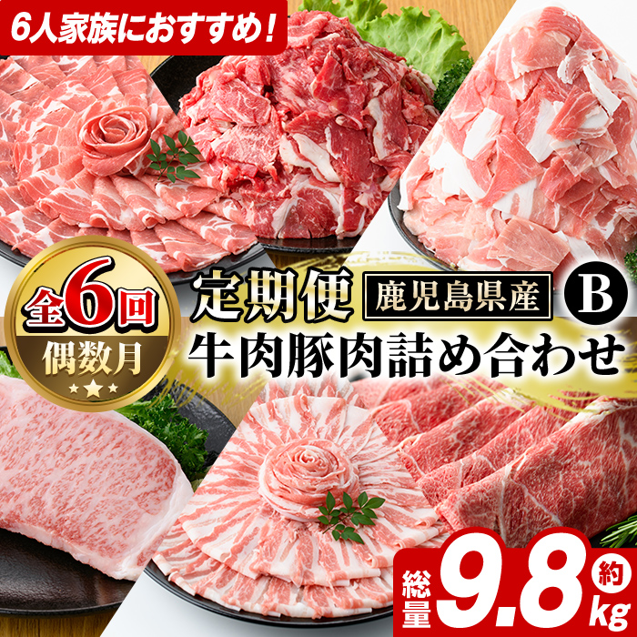 ＜定期便・全6回(偶数月)＞6人家族用！鹿児島県産 牛肉・豚肉 詰め合わせ B (総量9.8kg) 国産 黒豚 しゃぶしゃぶ 肩 ロース スライス 訳あり 切り落とし 黒毛和牛 サーロイン ステーキ 黒豚 バラ カタ ウデ 小分け セット 【スターゼン】akn042-38