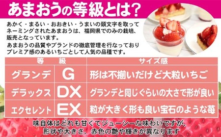 あまおう DX等級のみ 約1.04kg 約260g×4パック あまおう 果物