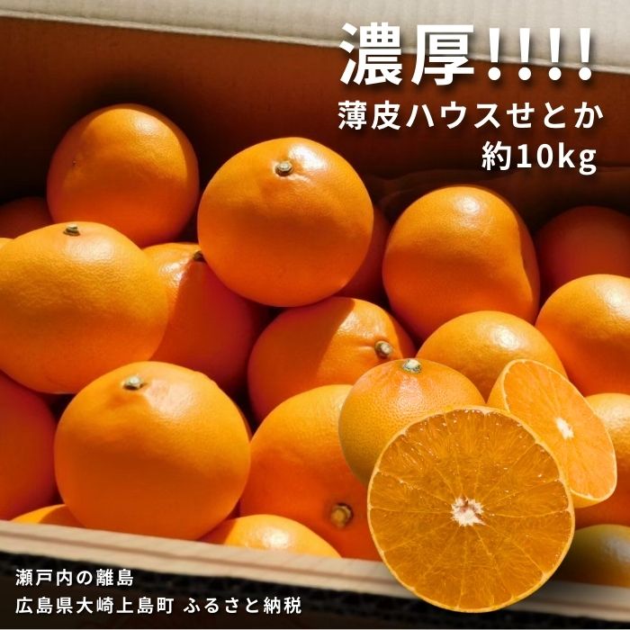 【ふるさと納税】2月発送 Farm I-Faveur せとか 約10kg (35個程度) 果汁 たっぷり 薄皮 ハウス 広島県 大崎上島町 瀬戸内 離島 国産 濃厚 柑橘 みかん 果物 フルーツ 贈答用 ギフト 送料無料 産地直送