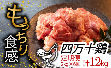 【定期便6回】 四万十鶏 もも肉 計12kg（2kg×6ヶ月連続お届け) 2kg定期便2kg定期便2kg定期便2kg定期便