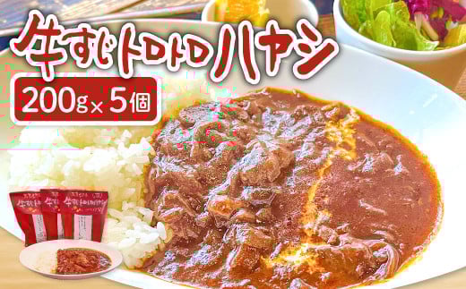 
            牛すじトロトロハヤシ 5個セット【ハヤシライス 5個 1食 200g レトルト食品 レトルトハヤシ レトルト 長期保存 すじ肉 牛肉 詰め合わせ セット 備蓄用 災害備蓄 島根県 大田市】
          