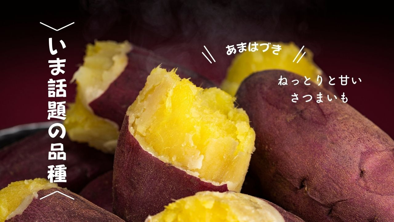 
                  8-006-004　さつまいも（あまはづき）2kg【マルゼン佐藤果樹園】
                