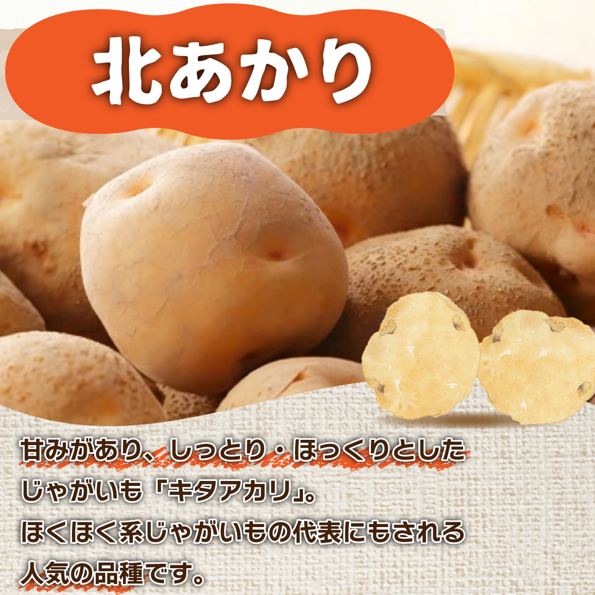 北海道産 じゃがいも 北あかり 約5kg  ジャガイモ 馬鈴薯 ポテト 芋 イモ きたあかり キタアカリ 栗じゃがいも 先行受付 産地直送 野菜 農作物 ホクホク じゃがバター コロッケ 人気 ふじい