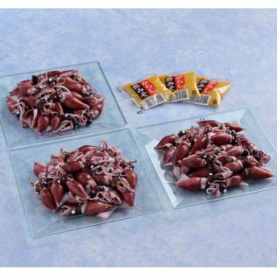 ふるさと納税 滑川市 (株)川村水産のボイルほたるいか　460g |  | 01