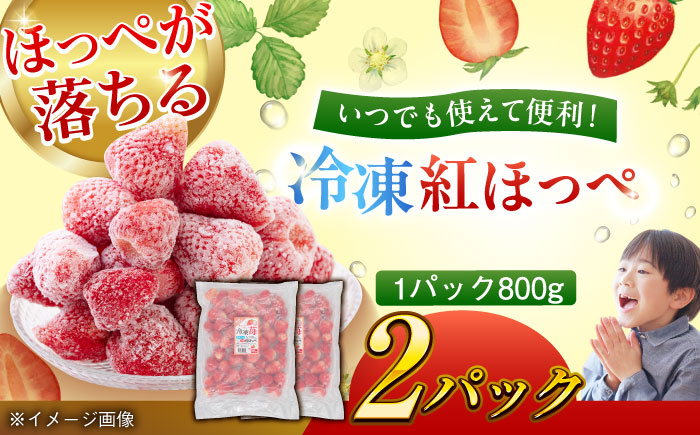 【冷凍】おいしさそのままぎゅっと閉じ込めました！紅ほっぺ800g×2パックセット　愛媛県大洲市/沢井青果有限会社 [AGBN041]苺 イチゴ スイーツ ケーキ かき氷 いちごパフェ ストロベリー おやつ デザート フルーツサンド いちご大福 手作り 甘い 果物