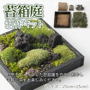 【ふるさと納税】苔箱庭制作キット FZ21-465