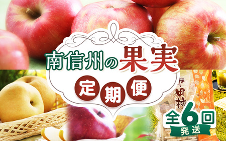 E-3【定期便】南信州の果実定期便　計6回発送（2026年8月～2027年1月）