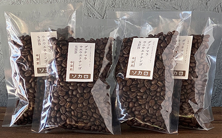 グァテマラ ウエウエテナンゴ SHB 400g 【中深煎】 ※豆 【お菓子と自家焙煎コーヒー ソカロ】 F21U-633