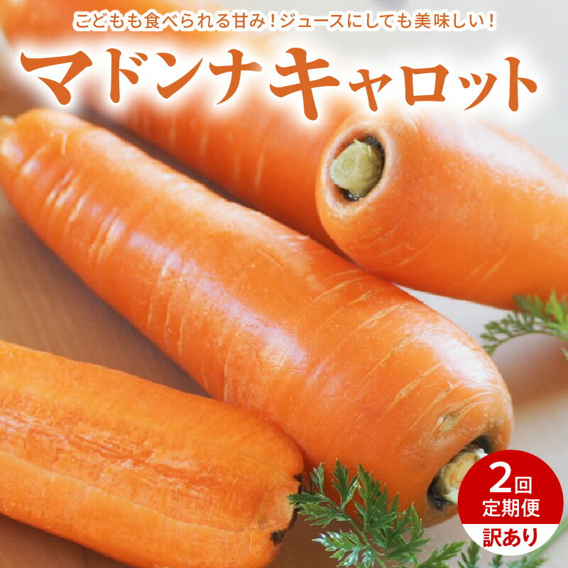 【ふるさと納税】＜フジテレビ『どっちのふるさと？』で紹介されました！＞訳あり定期便 2回 マドンナキャロット にんじん 5kg お届け キャロット 野菜 国産 不揃い 健康 食品ロス 削減 こどもも食べられる 甘み 愛知県 碧南市 お取り寄せ 産地直送 送料無料