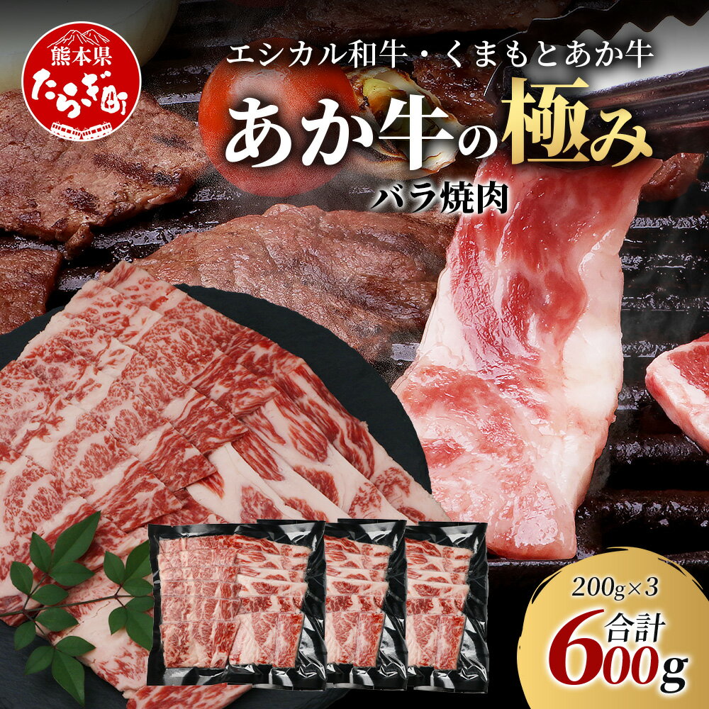 【ふるさと納税】《エシカル和牛》くまもとあか牛 バラ焼肉 200g×3 (計 600g) 【あか牛の極み】 バラ 熊本 赤牛 ジューシー 牛肉 小分け 焼き肉 焼肉 やき肉 BBQ アウトドア 和牛 国産 SDGs ブランド 牛 10000円 以下 1万円 熊本県産 熊本 冷凍 九州産 国産 送料無料
